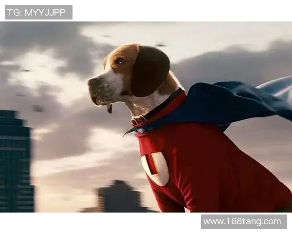 足球明星卡通造型女孩的奇幻冒险与梦想追逐之旅 足球明星卡通造型女孩的奇幻冒险与梦想追逐之旅