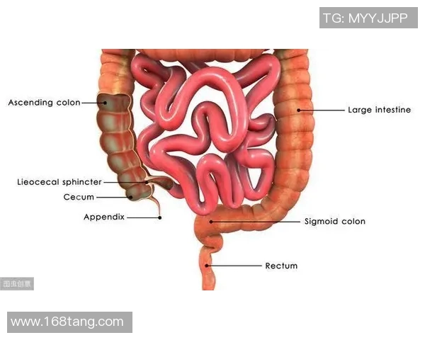 足球明星直肠癌的警示与启示如何提高公众对肠癌的关注与早期筛查意识