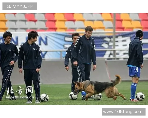 中国足踩馆中探秘足球文化与历史的交融之旅