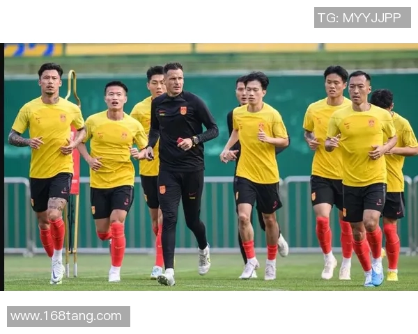 中国国足迎战新西兰球队全力争胜展现实力与团结精神